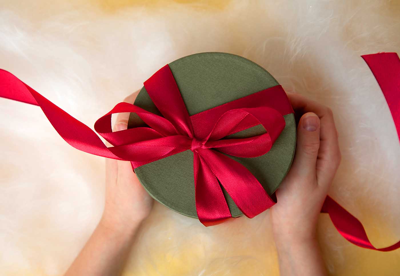 holiday gift