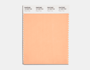 2024 Pantone Color of the Year Peach Fuzz color swatch