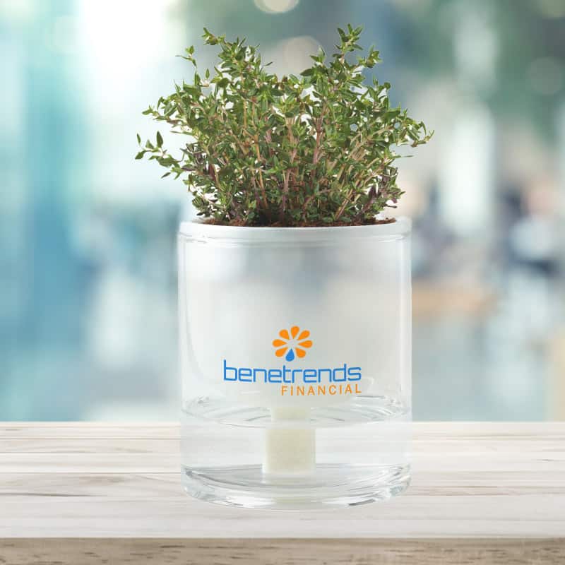 Self watering planter made for Benetrends Financial