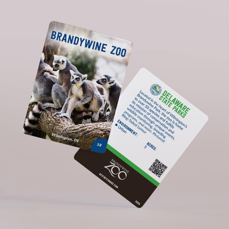 State of Delaware Trading Cards