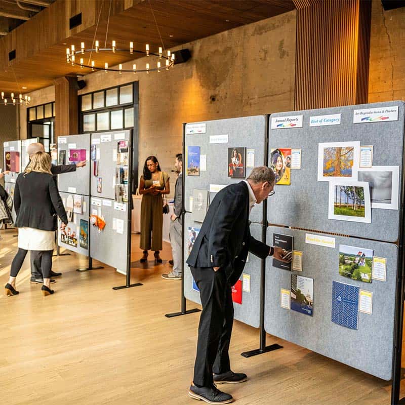 neographics best in show awards displayed